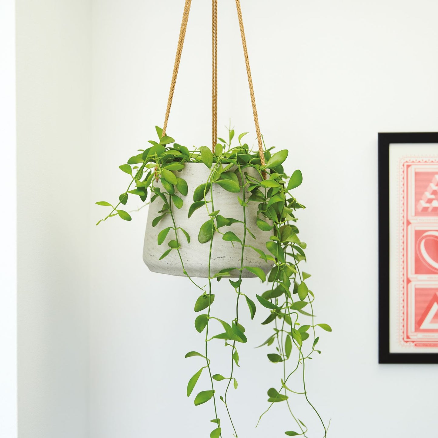 String of nickels