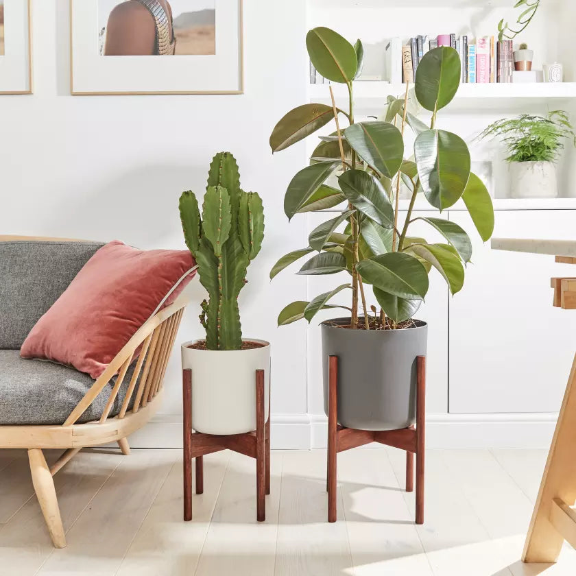 Straight edged pot in stand
