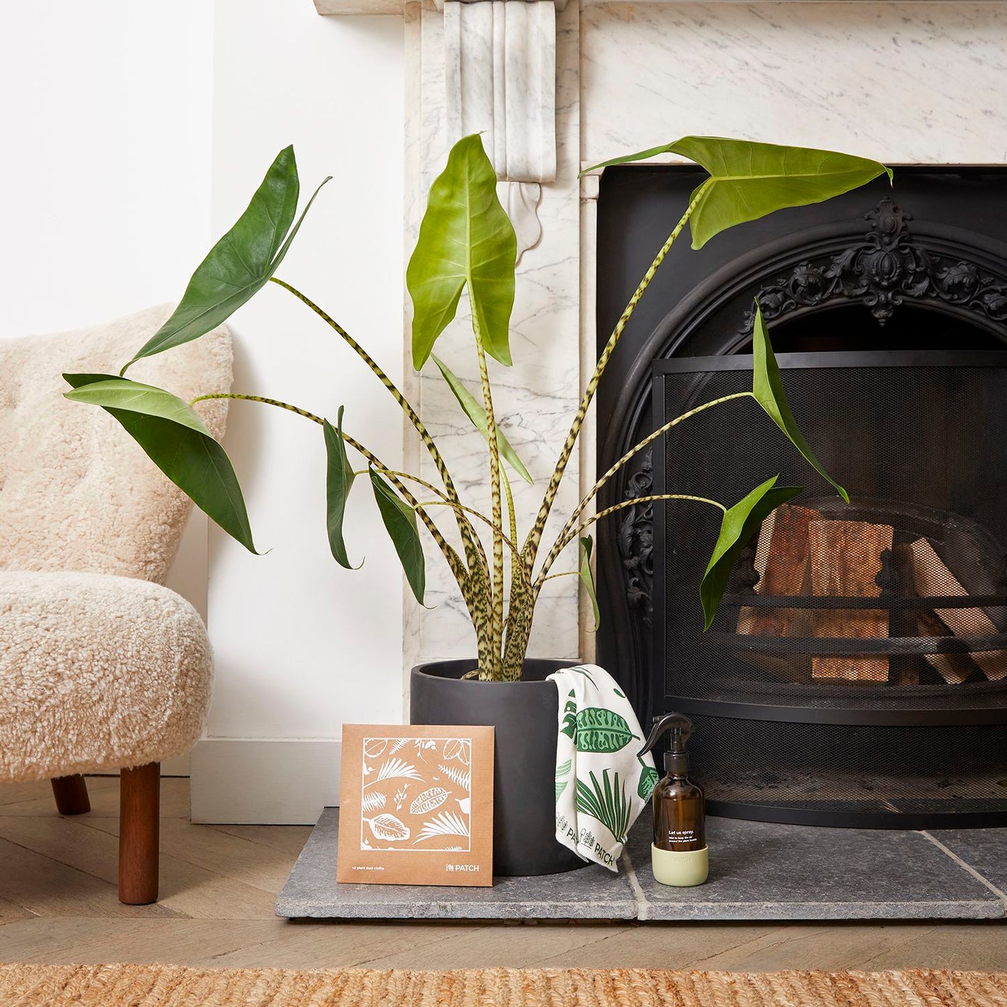 Zabrina, pot, mister & dust cloths