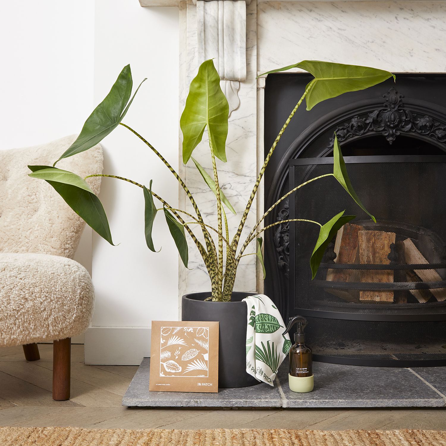 Zabrina, pot, mister & dust cloths