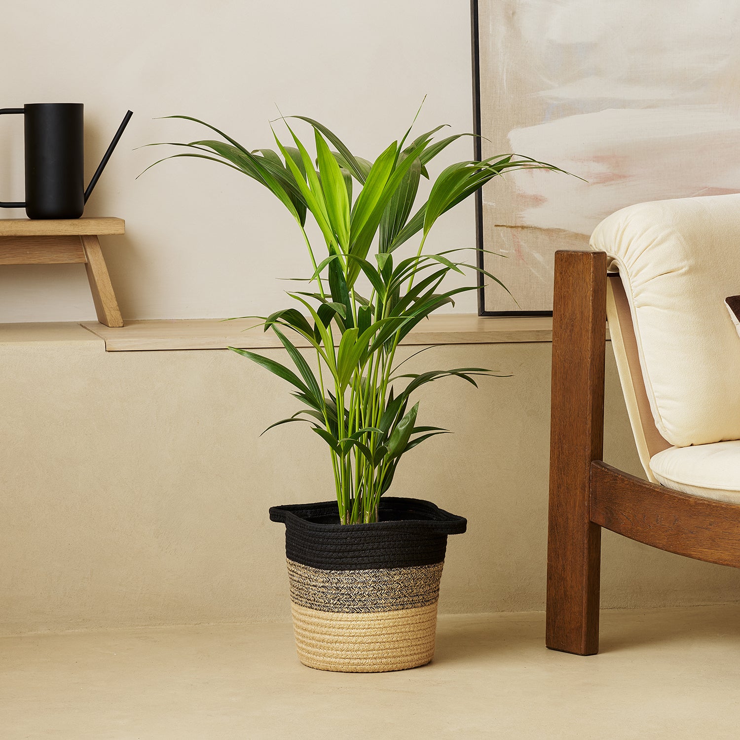 Handle Basket 23cm | Patch Plants 