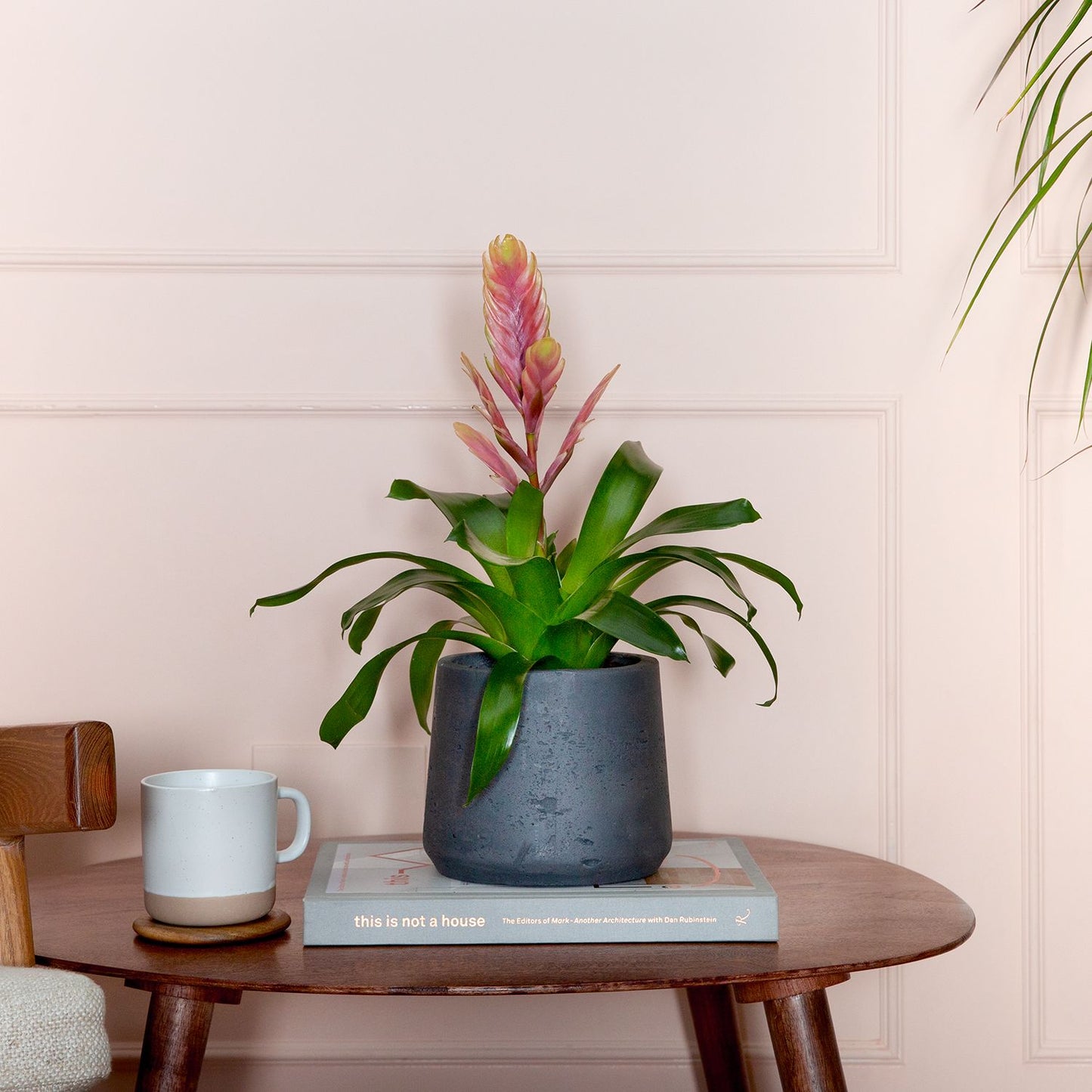 Flaming sword - pink