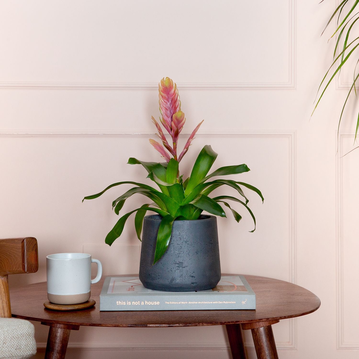 Flaming sword - pink