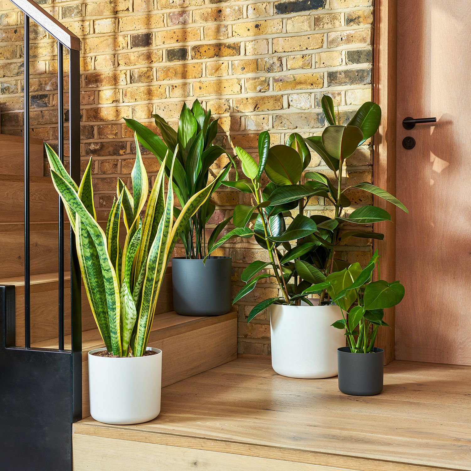 Straight edged pot