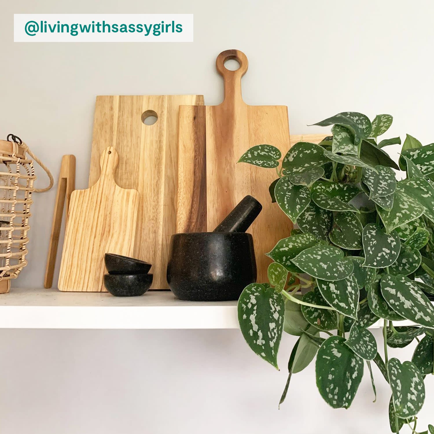 Satin Pothos