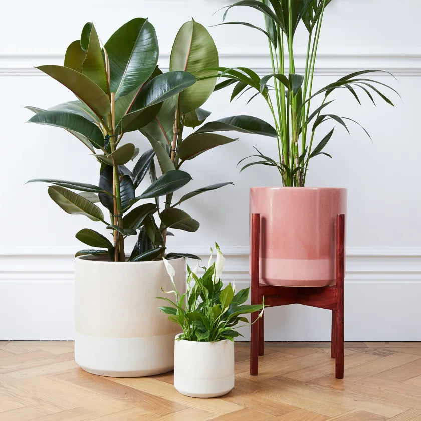 Dipped pot in stand