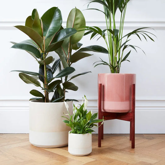 Dipped pot in stand