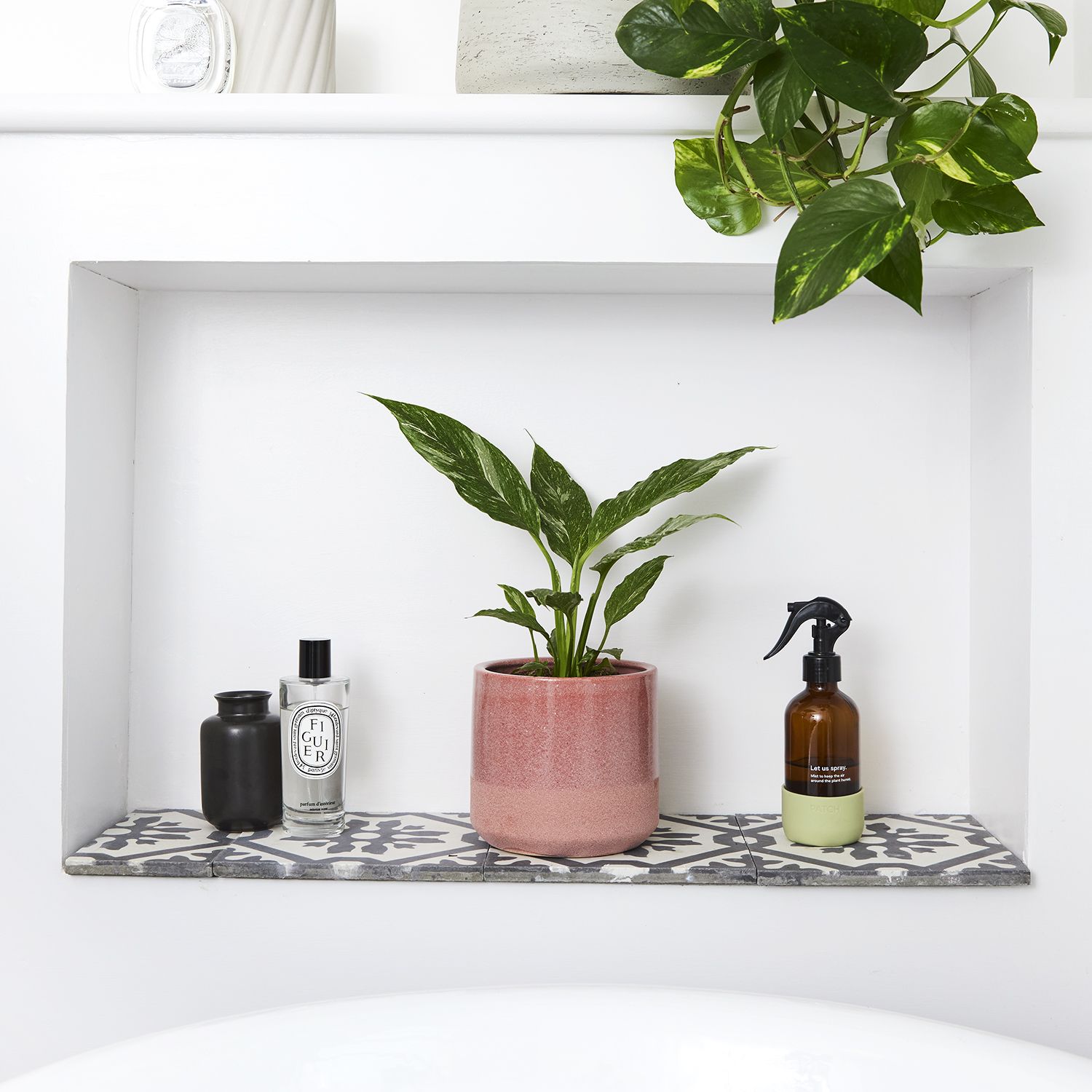 Variegated Peace lily