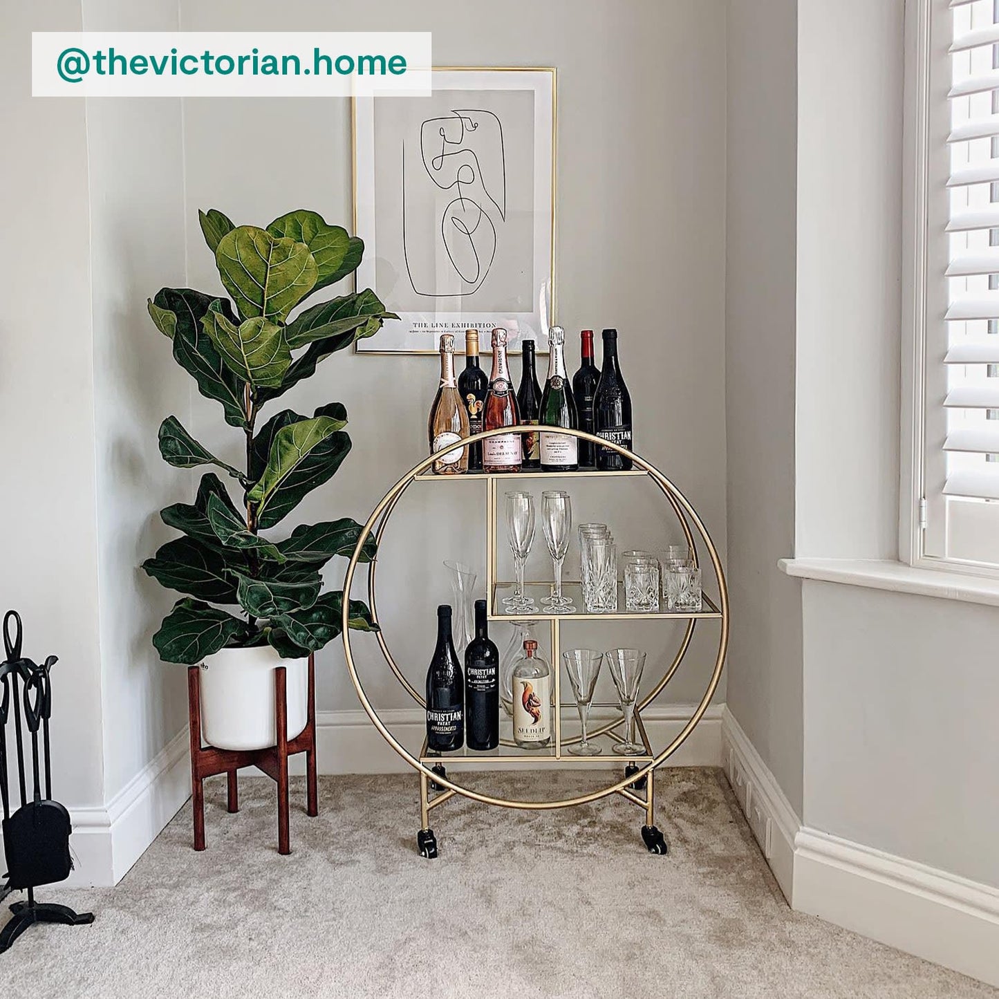 Fiddle-leaf fig