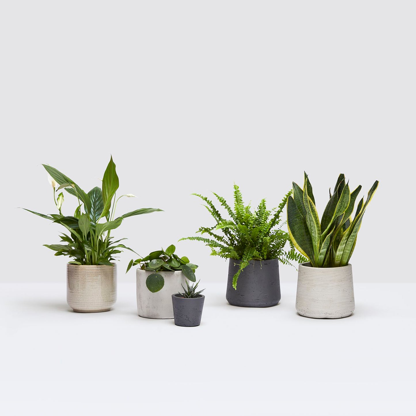 Desktop set