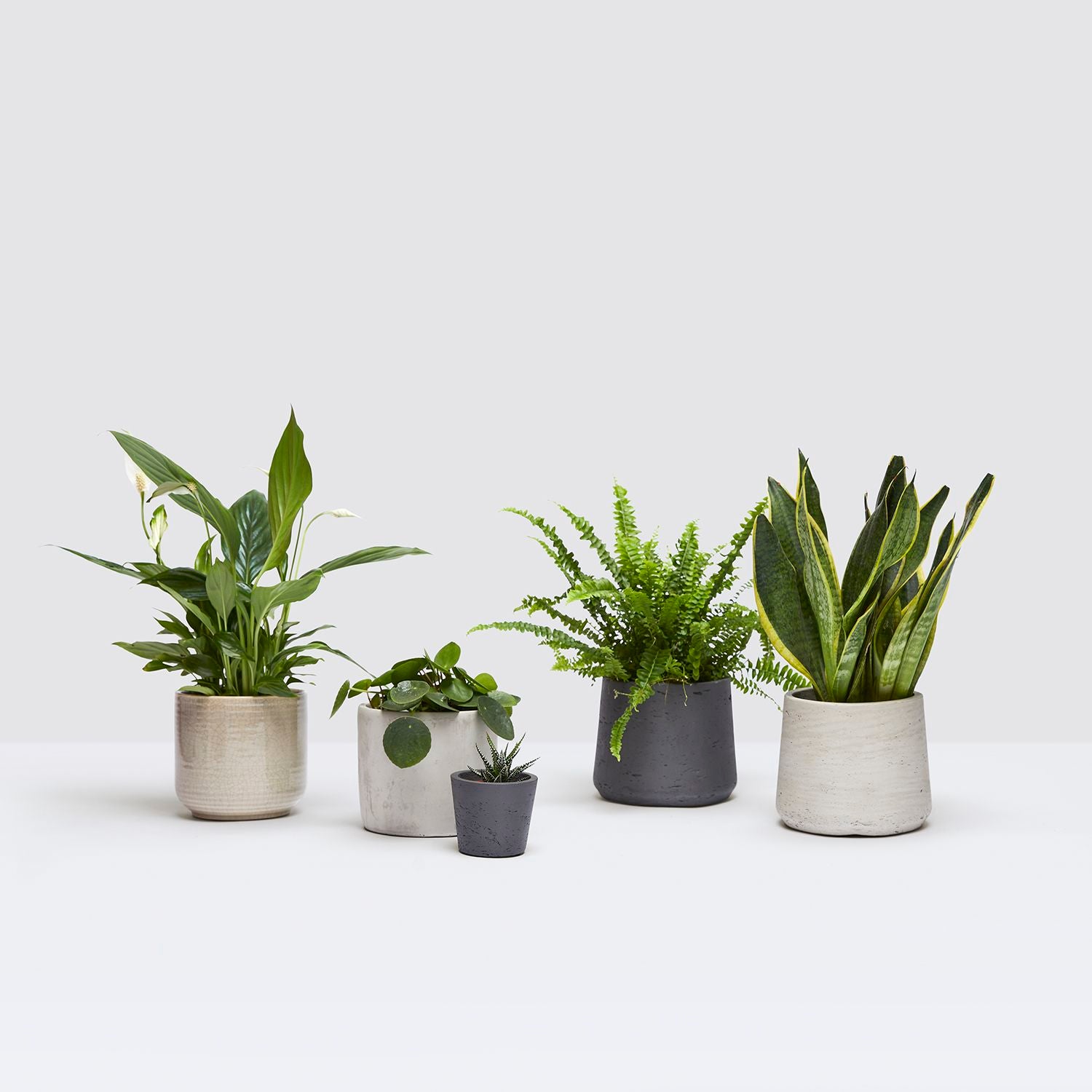 Desktop set