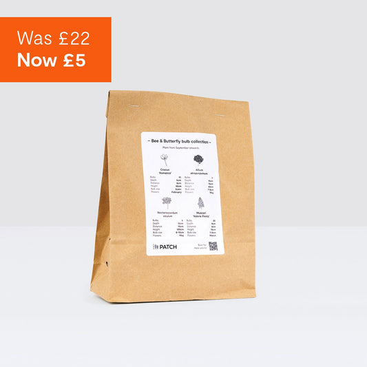 Bee & Butterfly spring bulbs