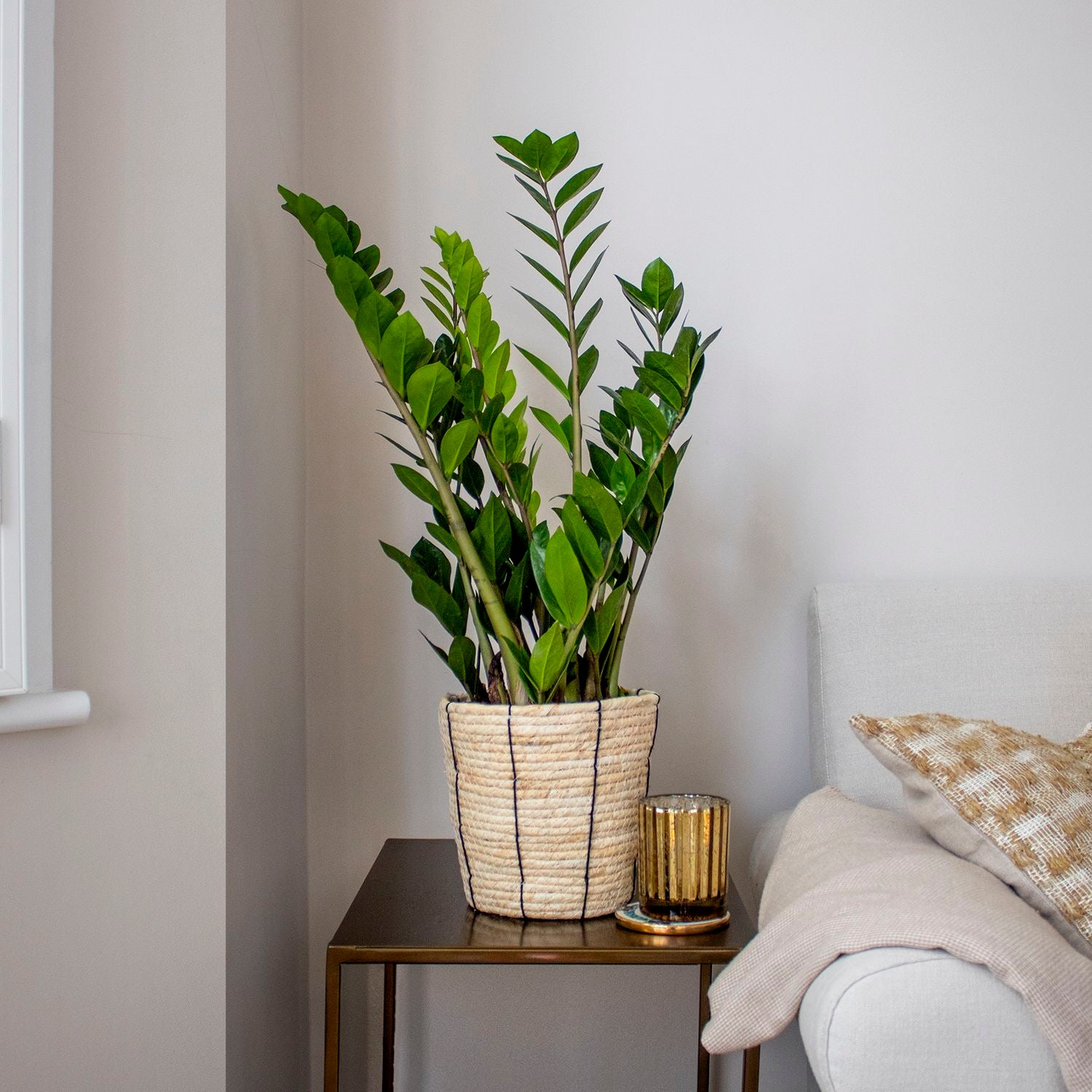 Rope basket