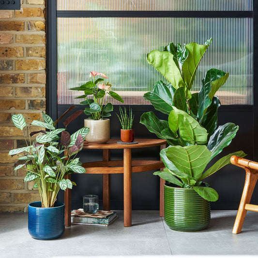 Ceramic glazed pot