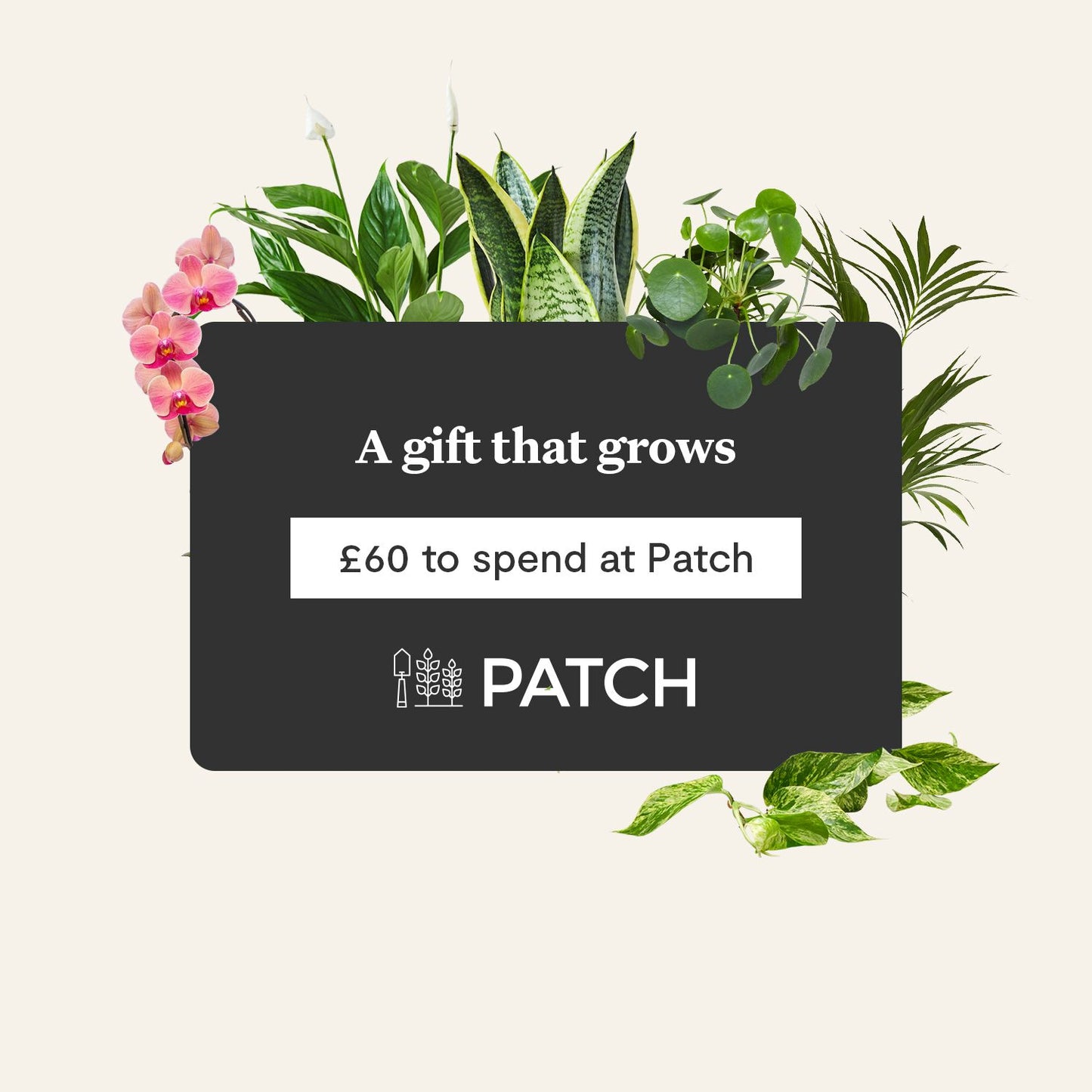 E-gift card