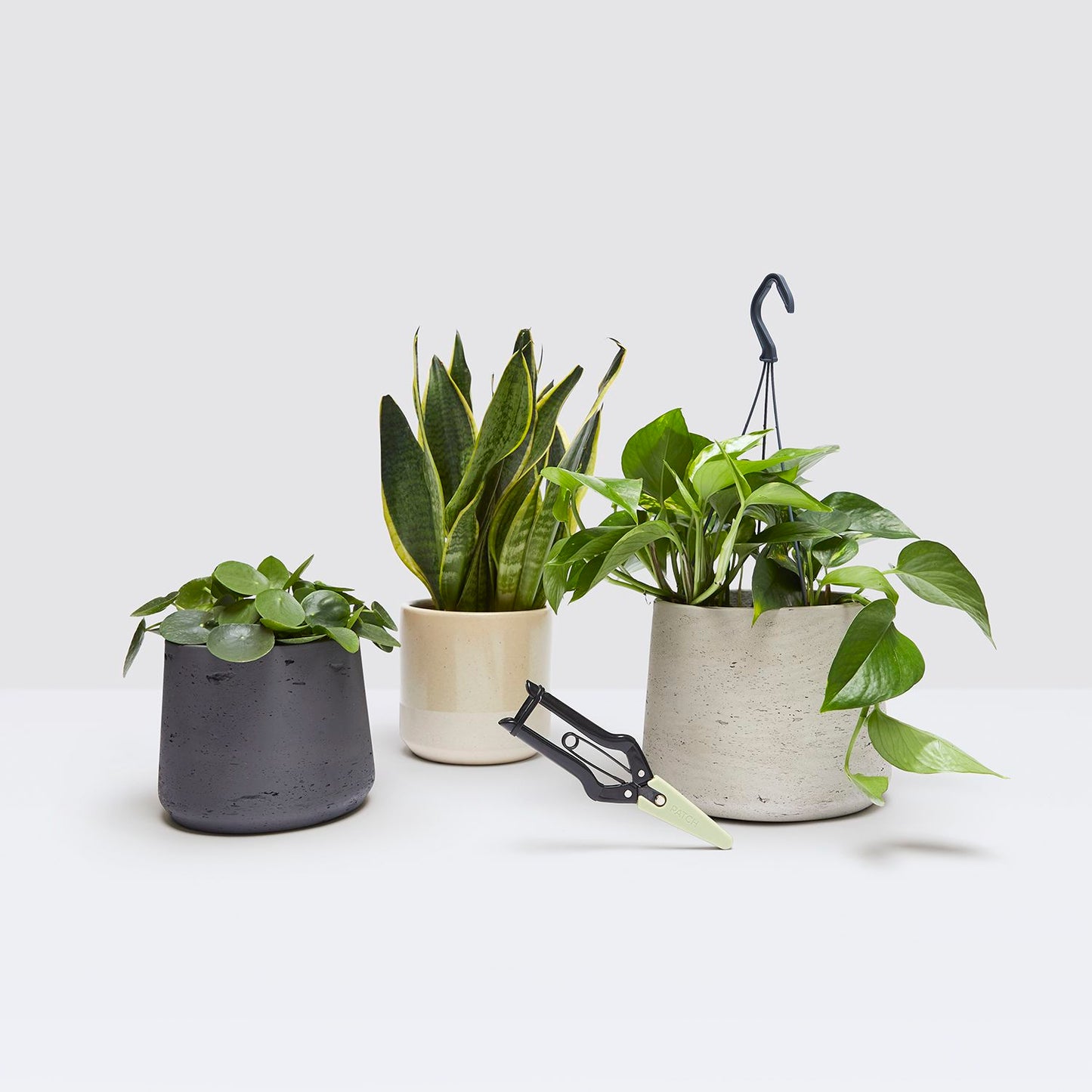 Propagation set