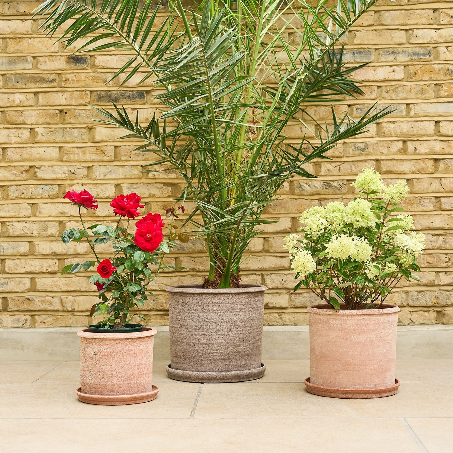 Modena terracotta pot