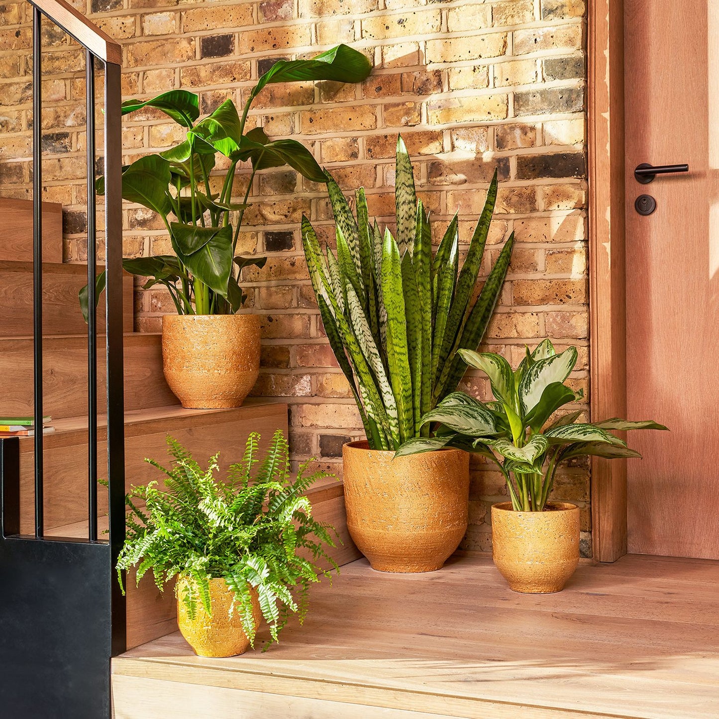 Earth pot