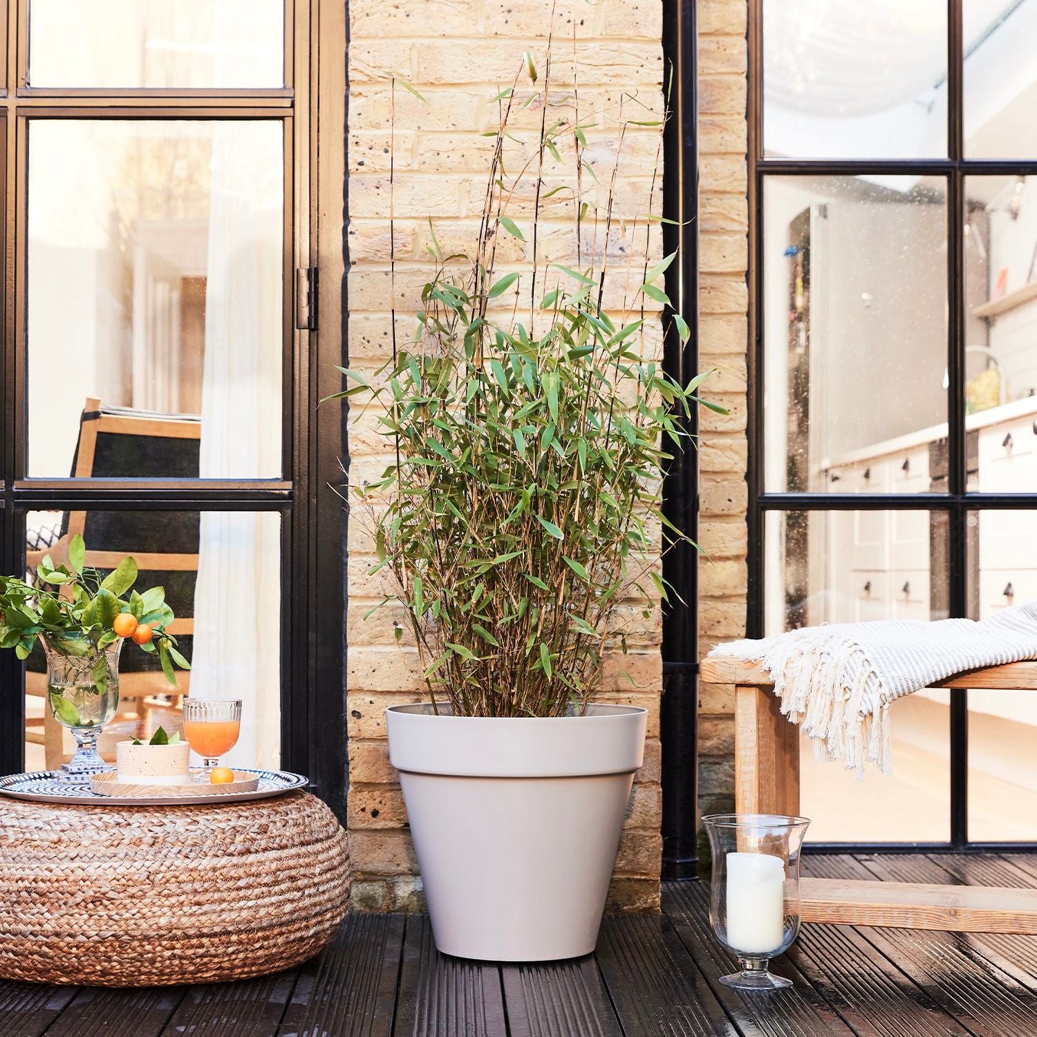Black bamboo