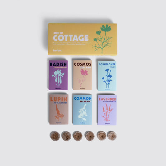 Cottage garden seeds kit